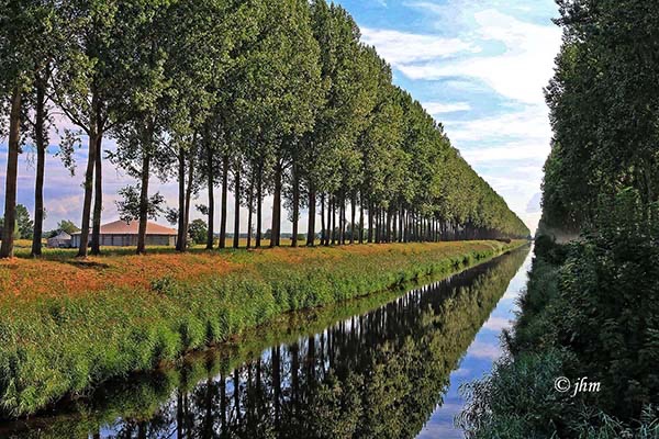 7 augustus &bull; Maldegem