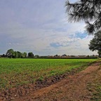 22.06.2025-Maldegem-44.jpg