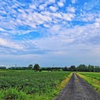 26.06.2025-Maldegem-Vake-52.jpg
