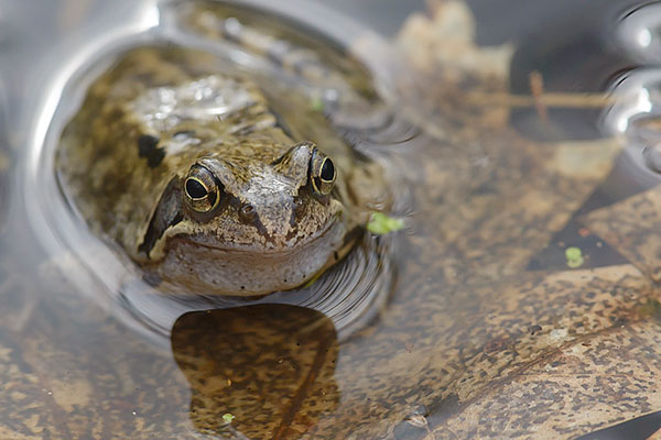 1_D600_DSC3064
