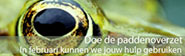 paddenoverzet_ro_1