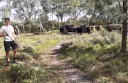 2026_08_29_Beheer_Maldegemveld