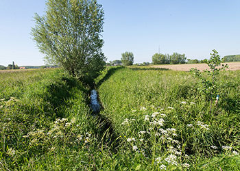 Got_12_2_D600_DSC4443