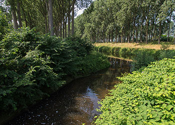 Ede_43_2_D600_DSC4618